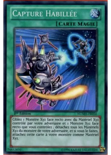 Capture Habillée