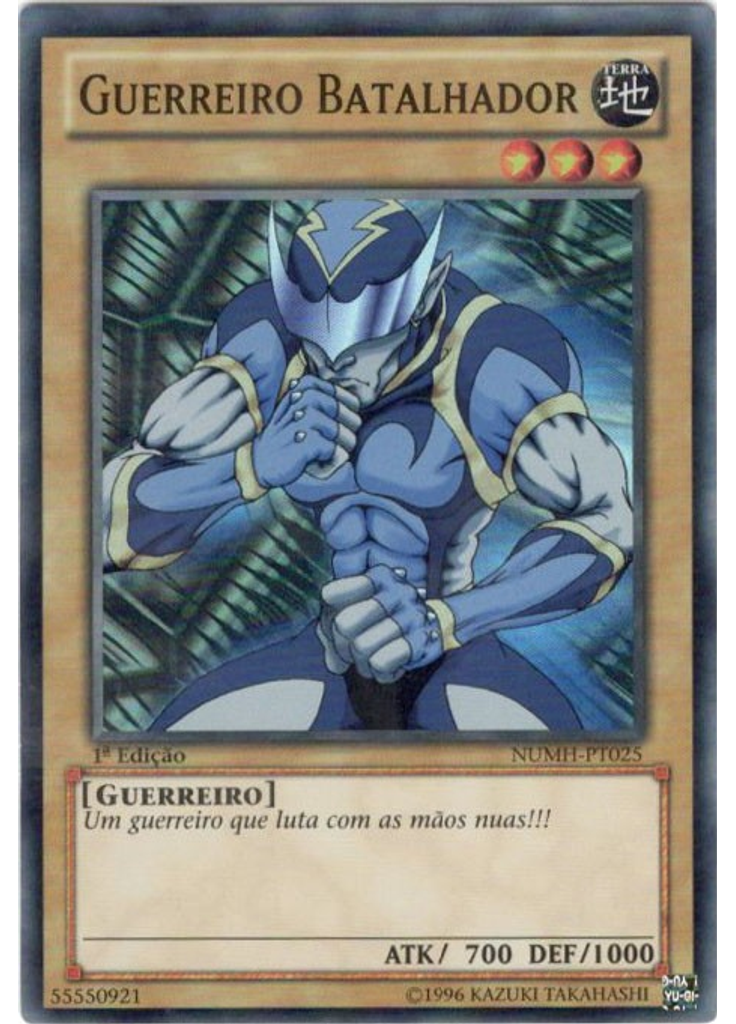 Guerreiro Batalhador