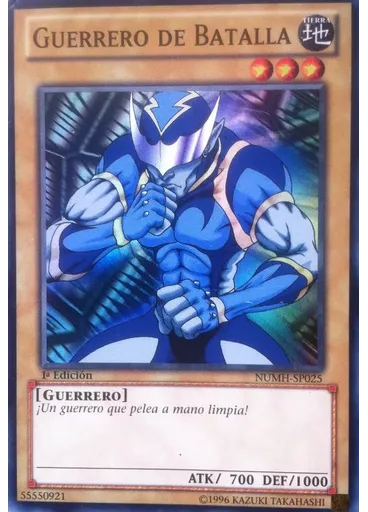 Guerrero de Batalla