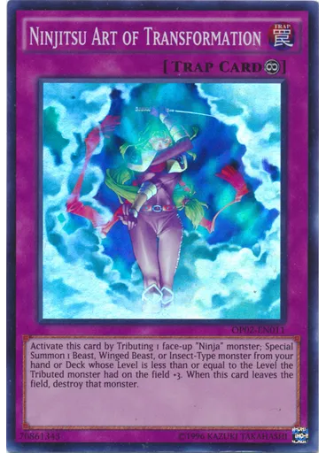 Ninjitsu Art of Transformation
