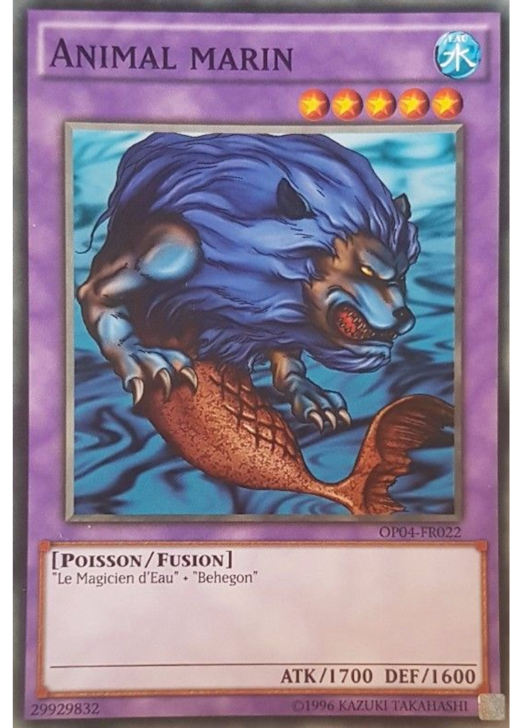 Animal marin