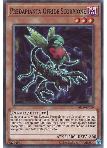 Predapianta Ofride Scorpione — OTS Buste da Torneo 6