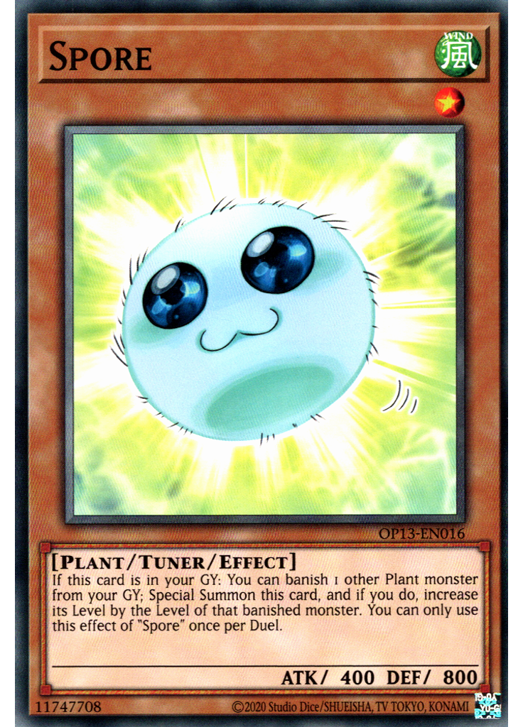Spore
