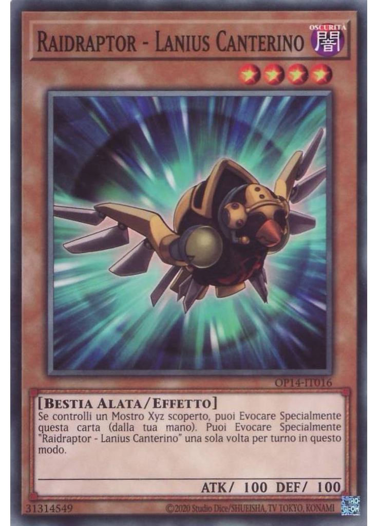 Raidraptor - Lanius Canterino