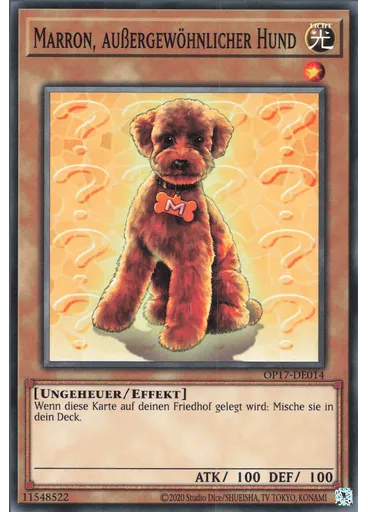 Marron, außergewöhnlicher Hund