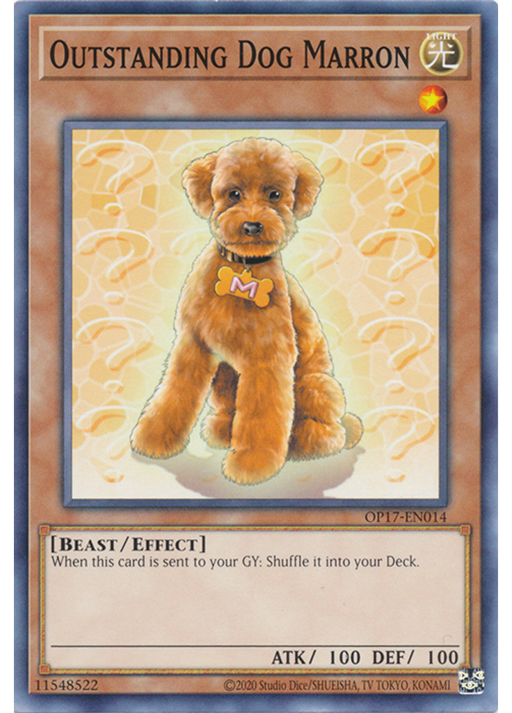 Outstanding Dog Marron