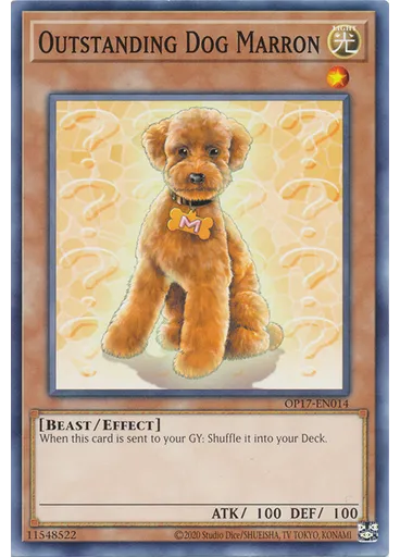 Outstanding Dog Marron
