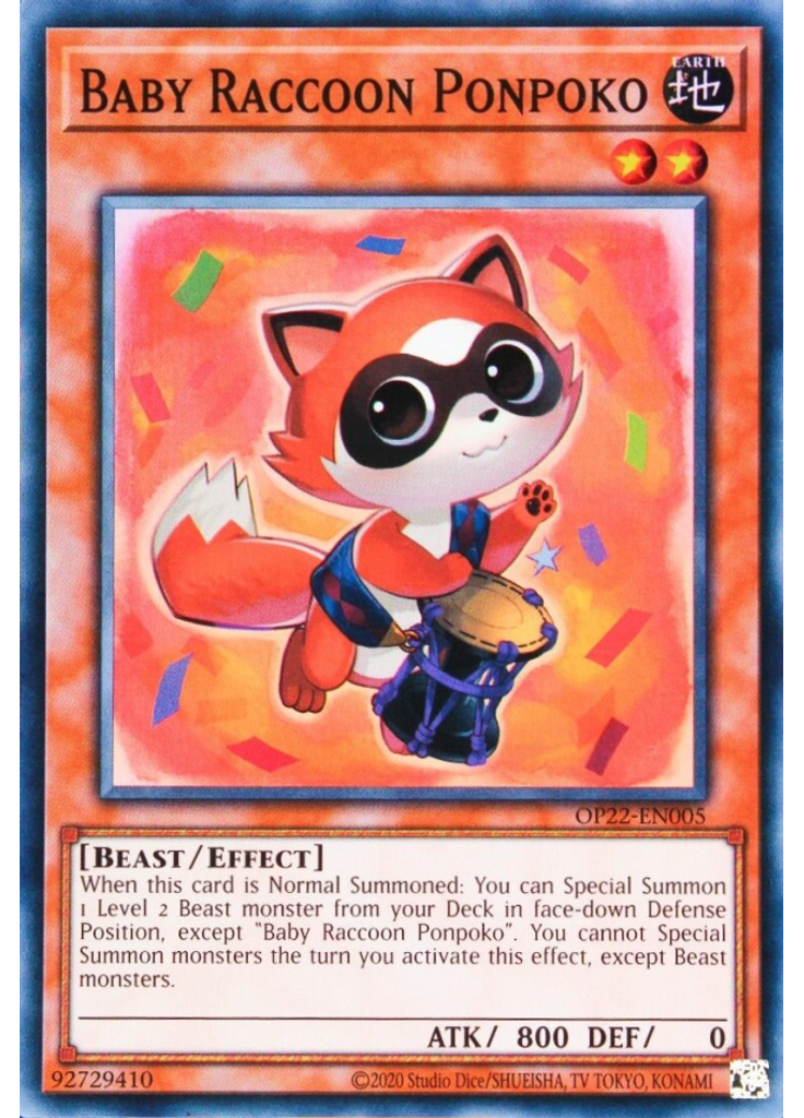 Baby Raccoon Ponpoko