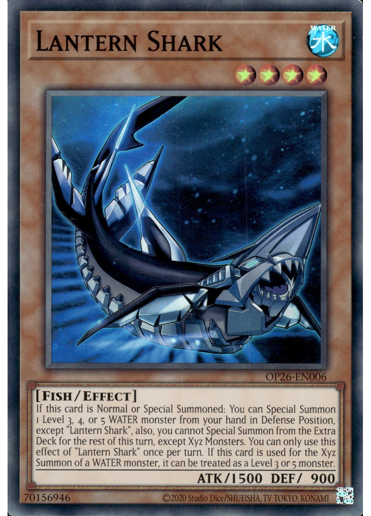 Lantern Shark