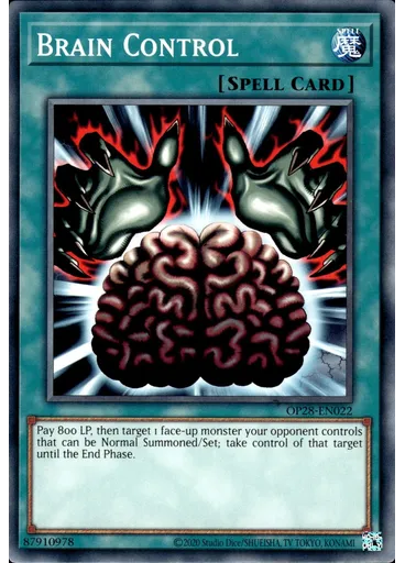 Brain Control