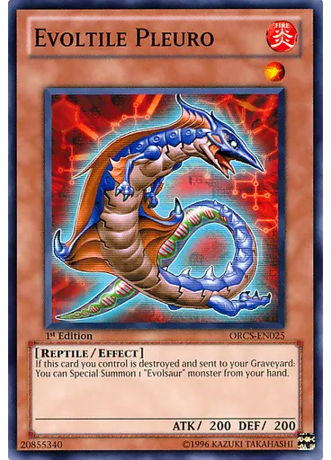 Evoltile Pleuro