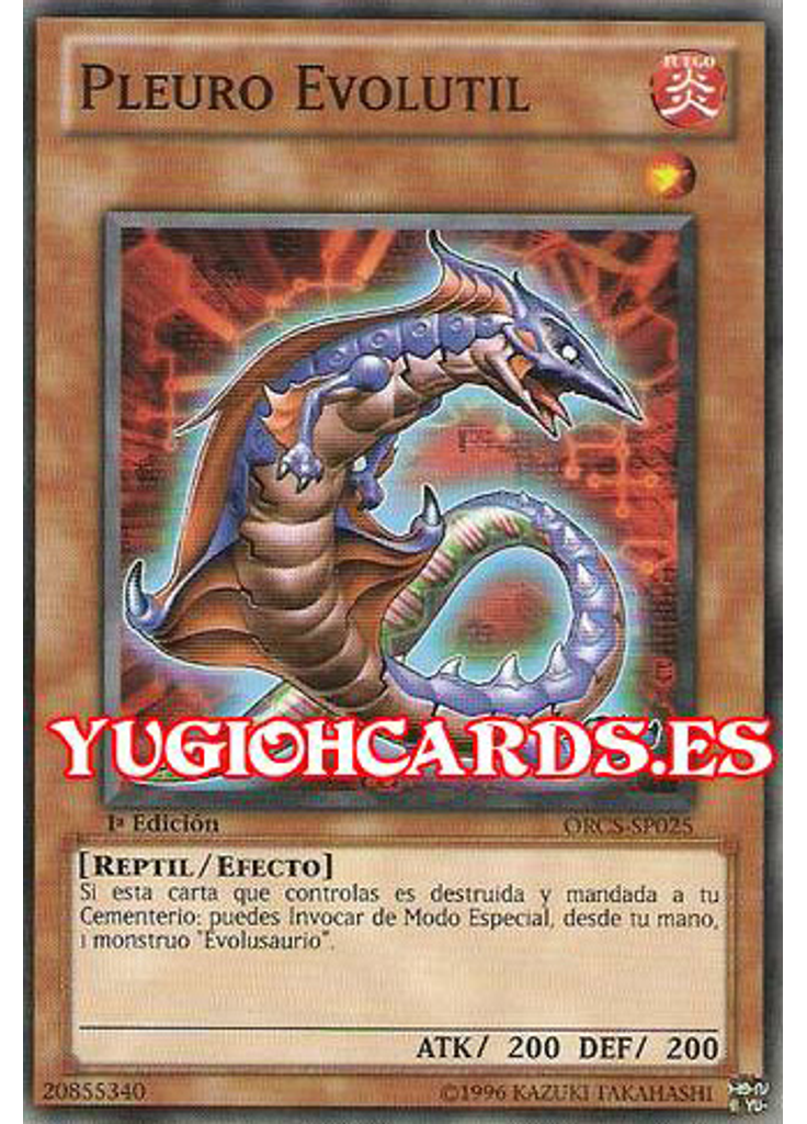 Pleuro Evolutil