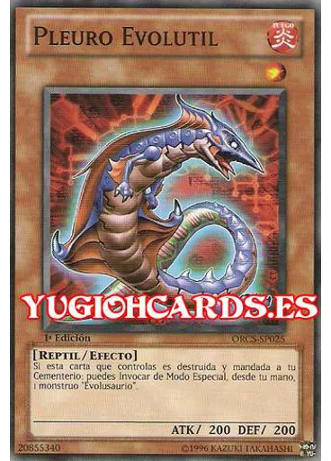 Pleuro Evolutil