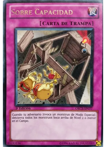Sobre Capacidad