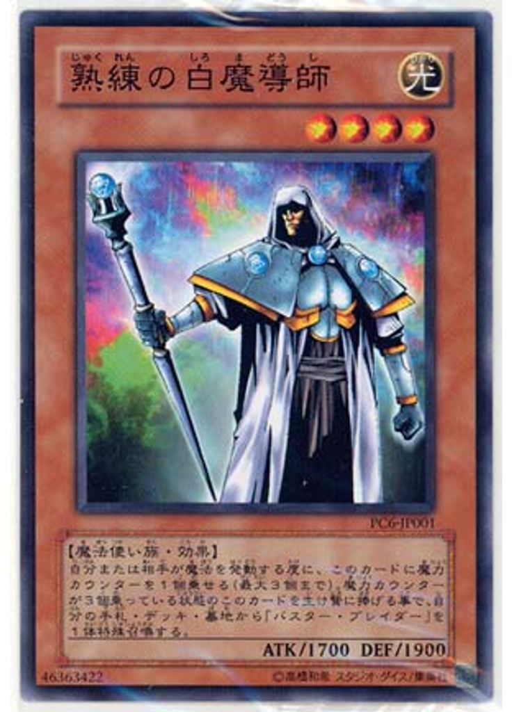 熟練の白魔導師