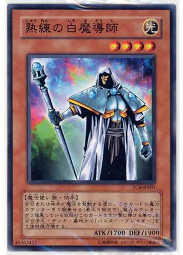 熟練の白魔導師