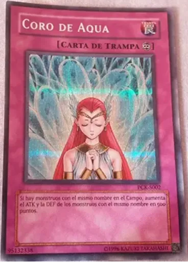 Coro de Aqua