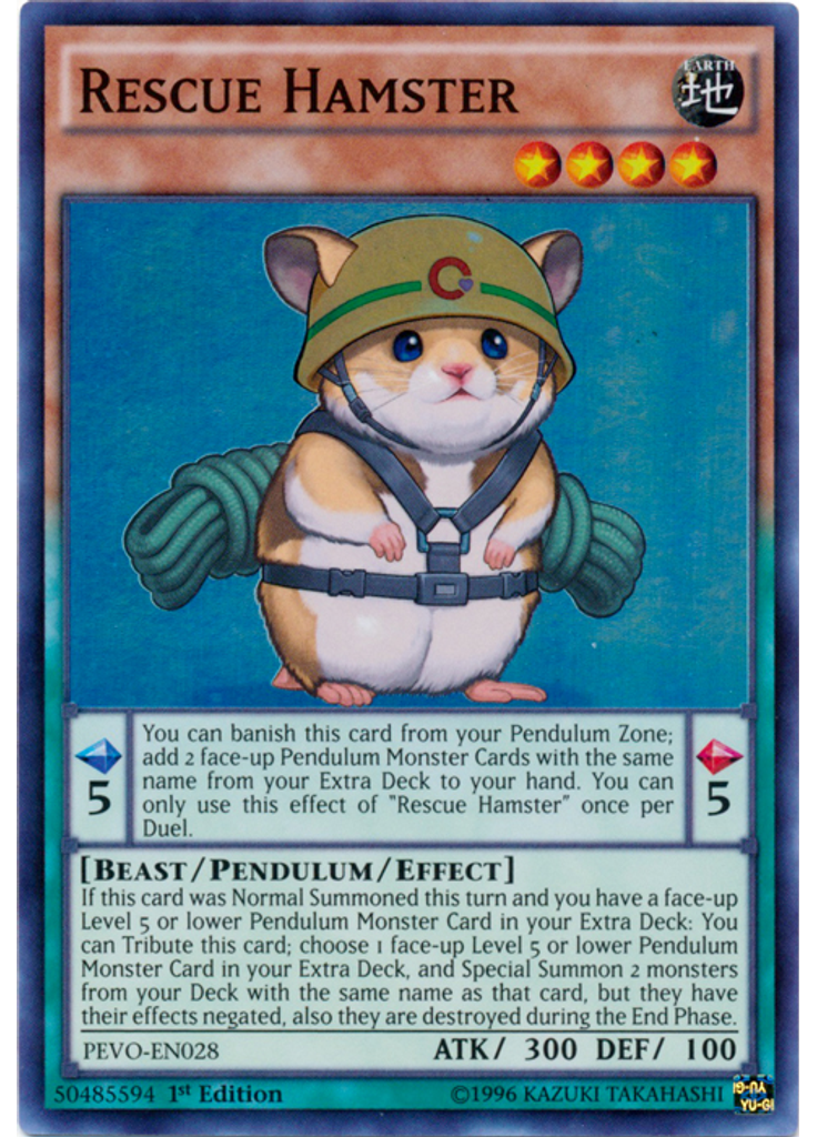 Rescue Hamster