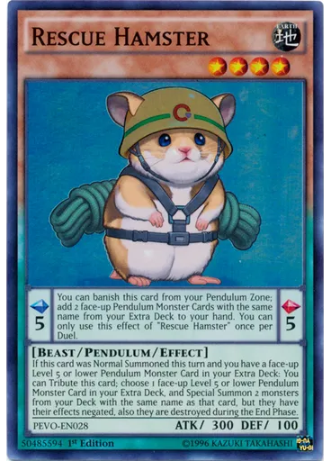 Rescue Hamster