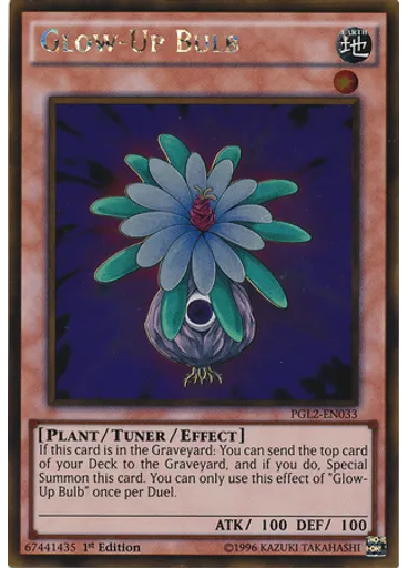 Glow-Up Bulb
