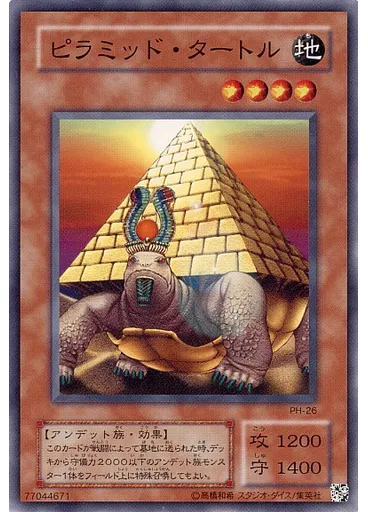 ピラミッド・タートル