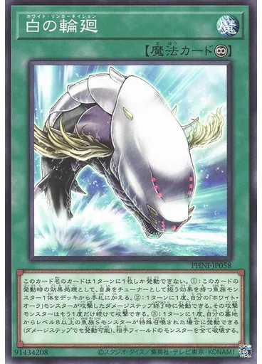 白の輪廻