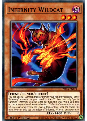 Infernity Wildcat