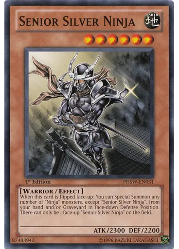 Senior Silver Ninja