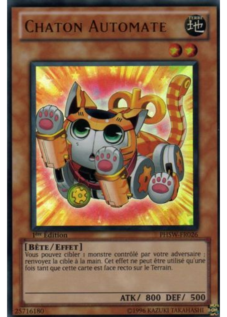 Chaton Automate