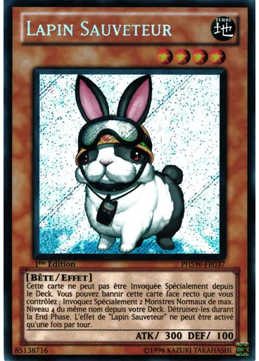 Lapin Sauveteur