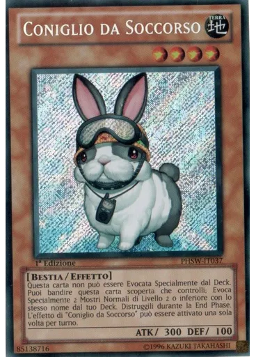 Coniglio da Soccorso