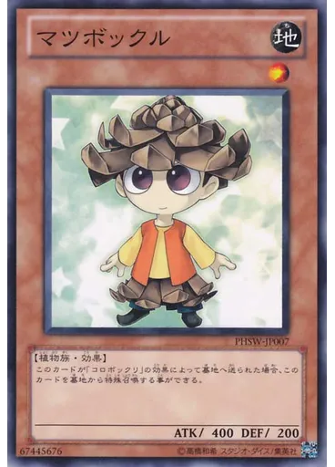マツボックル