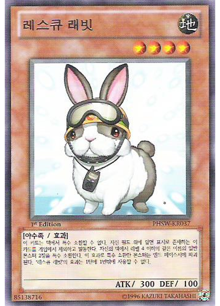 레스큐 래빗