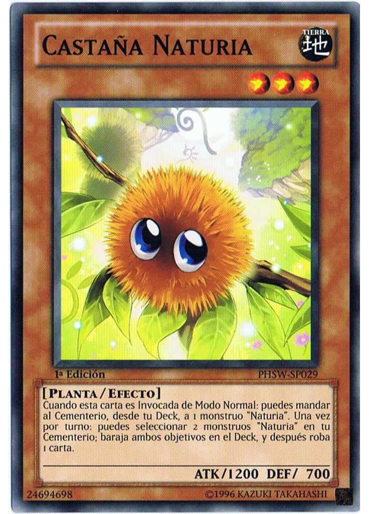 Castaña Naturia