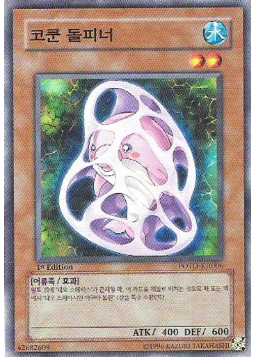 코쿤 돌피너