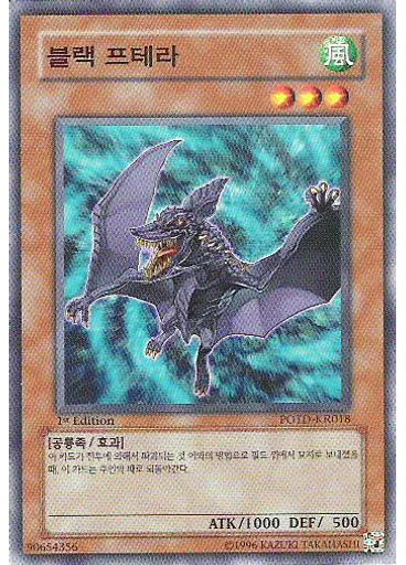 블랙 프테라