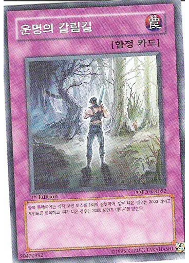 운명의 갈림길