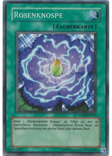 Rosenknospe