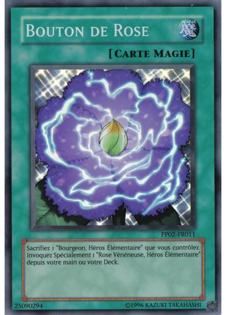 Bouton de Rose