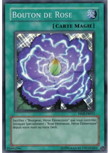 Bouton de Rose