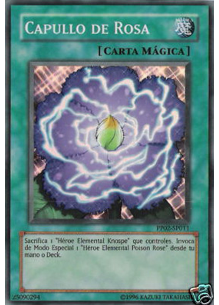 Capullo de Rosa