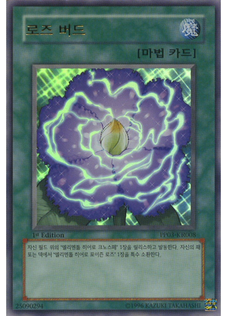 로즈 버드