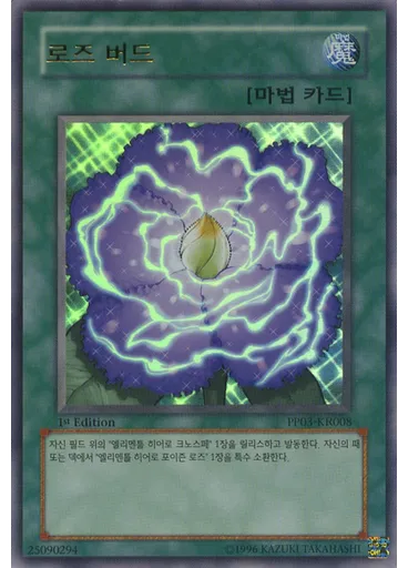로즈 버드