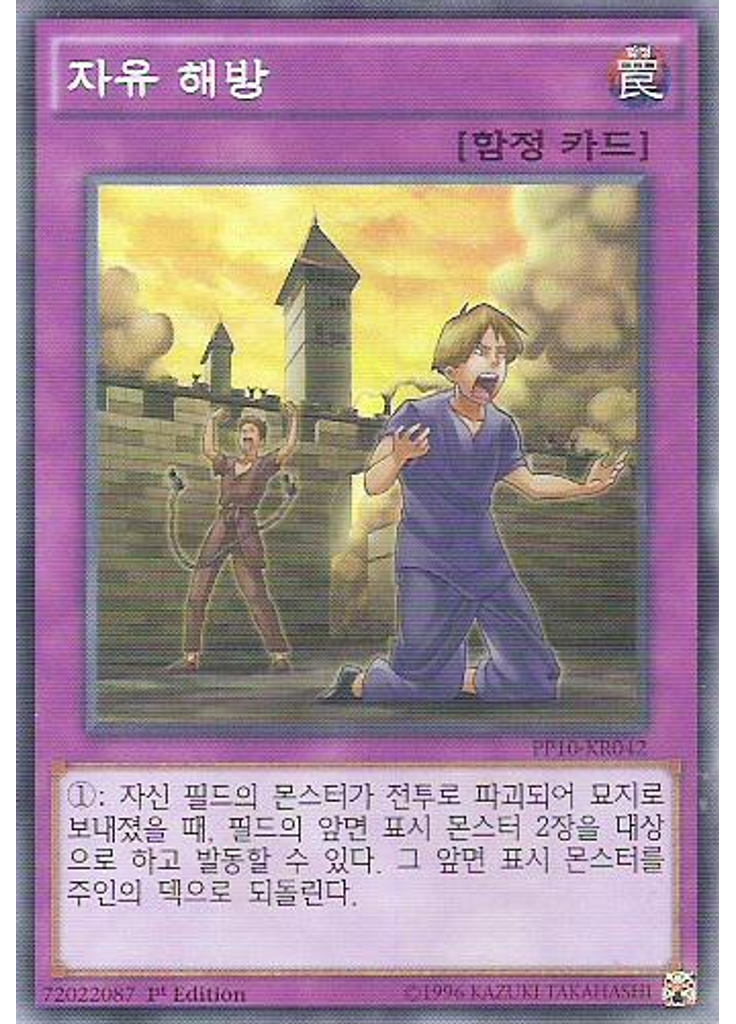 자유 해방