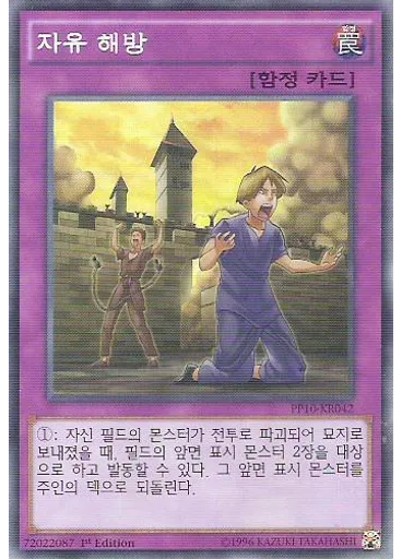 자유 해방