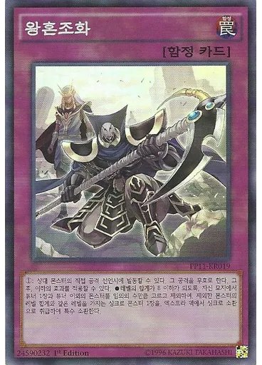 왕혼조화