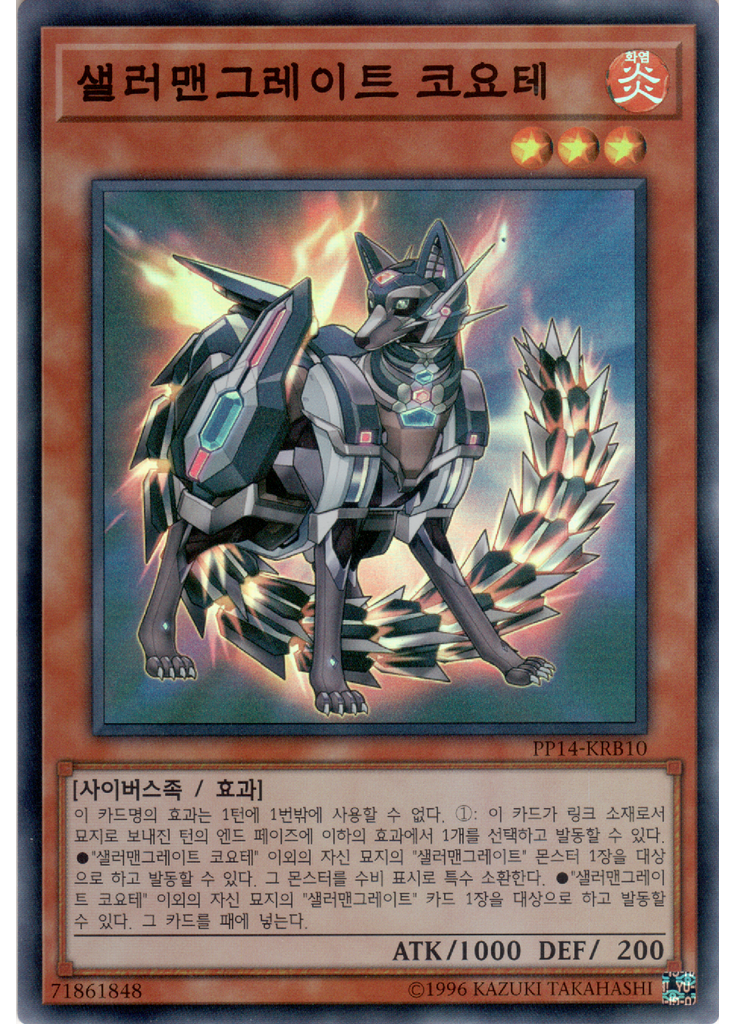 샐러맨그레이트 코요테