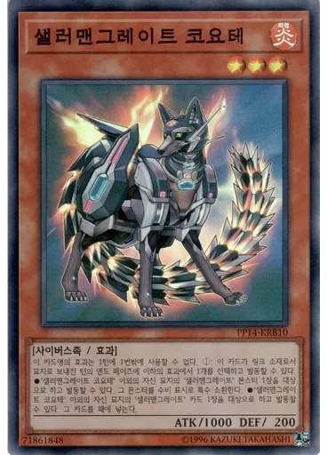 샐러맨그레이트 코요테