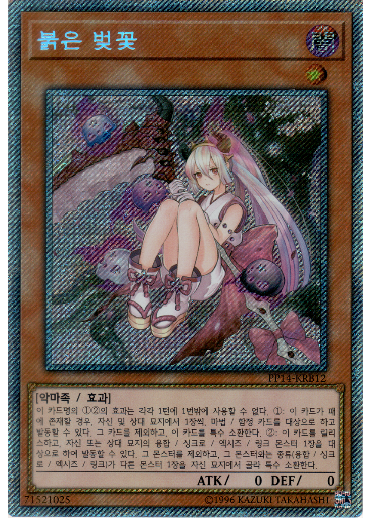 붉은 벚꽃