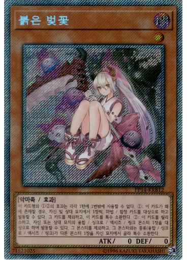 붉은 벚꽃